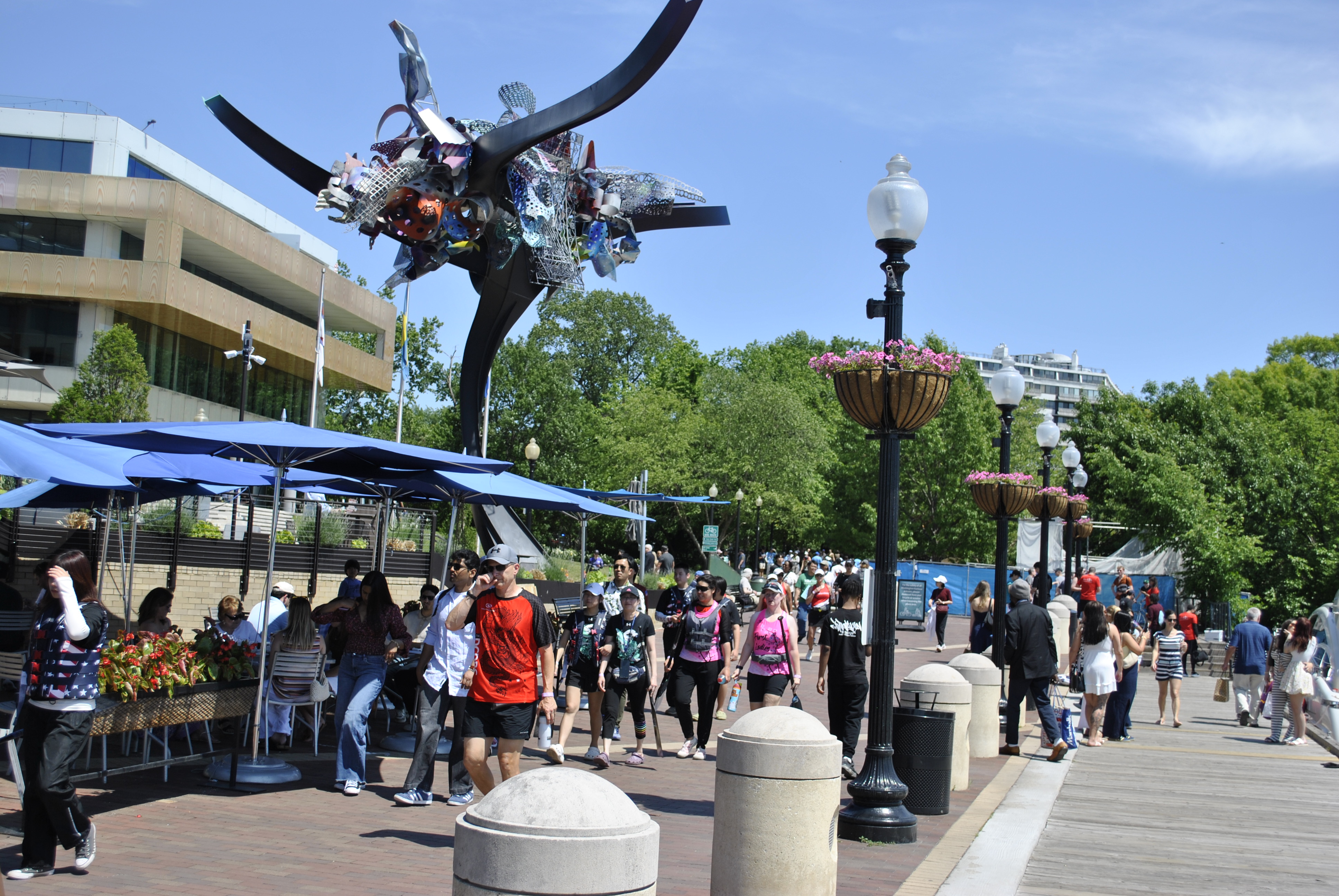 DC Dragon Boat Festival at Georgetown Waterfront Park